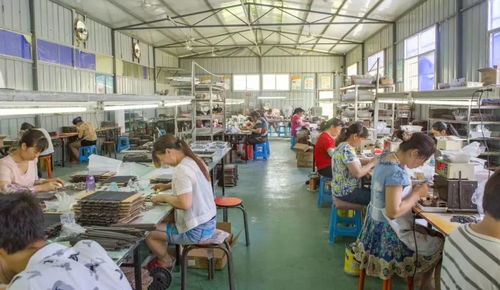 以產(chǎn)帶遷 以業(yè)促搬 勉縣移民安置社區(qū)產(chǎn)業(yè)就業(yè)聯(lián)動(dòng)發(fā)展促脫貧技術(shù)服務(wù)