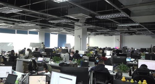 上海華獻軟件“刷臉啦”技術服務，以科技力量助力城市疫情防控